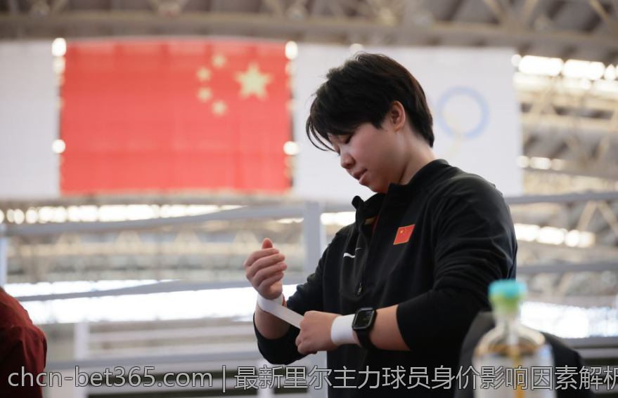 最新里尔主力球员身价影响因素解析