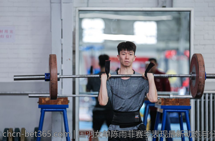 国羽女单陈雨菲赛季表现最新动态与分析