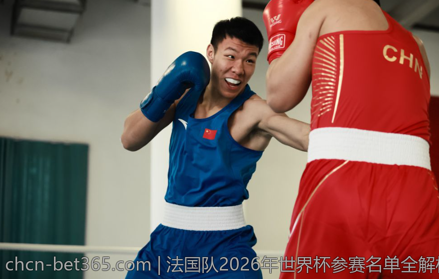 法国队2026年世界杯参赛名单全解析