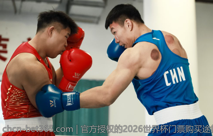 官方授权的2026世界杯门票购买途径详解
