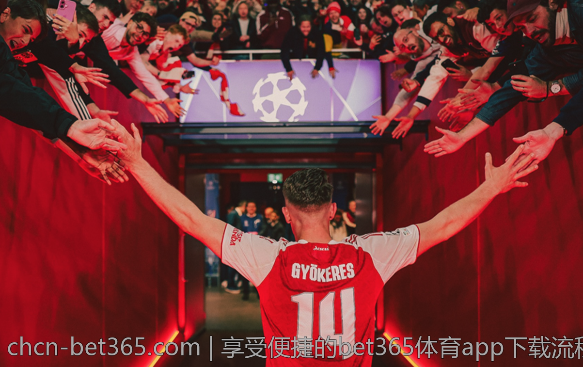 为您揭秘bet365体育下载的使用体验