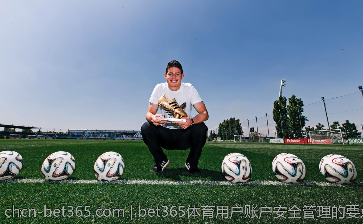bet365体育用户账户安全管理的要点